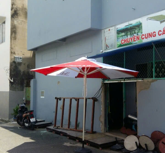 Mẫu dù che nắng đẹp